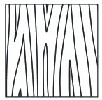 Rowenta X Combo Vacuum Cleaner - overview 3