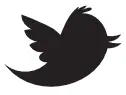 Twitter icon