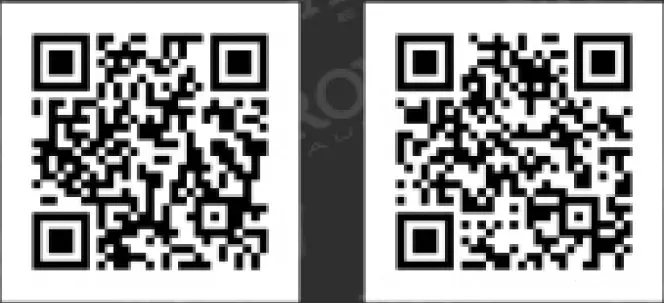 Kawasaki-Z-650-RS-Arrow-Exhaust-FIG-13