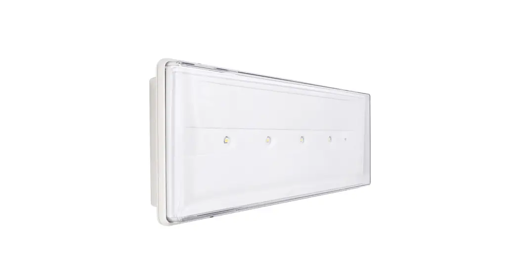 Beghelli Pratica Ip42 At Emergency Luminaire Instruction Manual