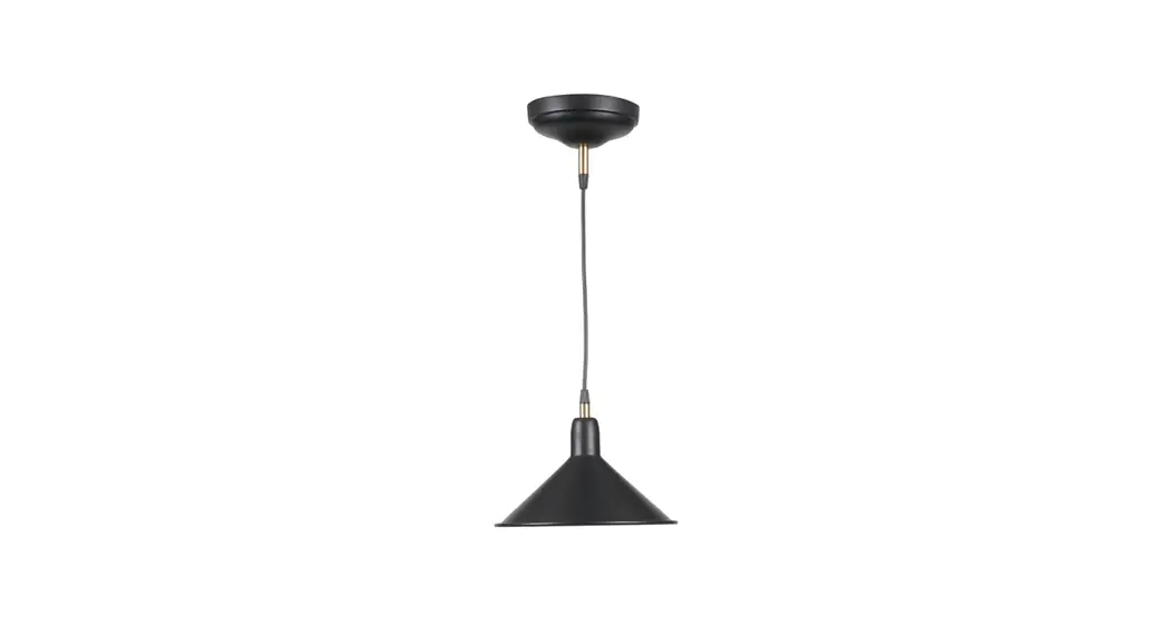 Trend Tp30101 Pendant Ceiling Light Instruction Manual