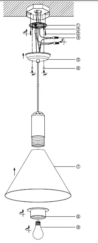 TREND TP30101 Pendant Ceiling Light