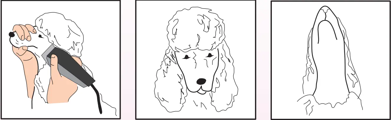 Ceenwes-Rechargeable-Cordless-Pet-Clippers-Grooming-Kit-fig-10