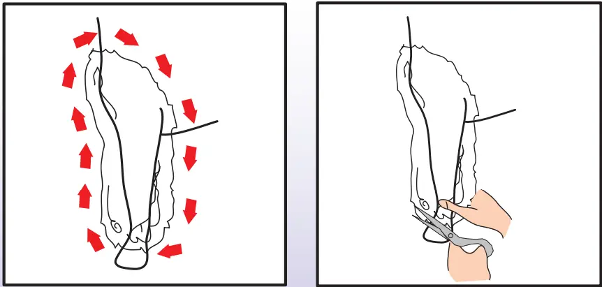 Ceenwes-Rechargeable-Cordless-Pet-Clippers-Grooming-Kit-fig-12