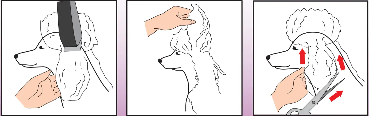 Ceenwes-Rechargeable-Cordless-Pet-Clippers-Grooming-Kit-fig-5