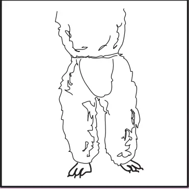 Ceenwes-Rechargeable-Cordless-Pet-Clippers-Grooming-Kit-fig-7