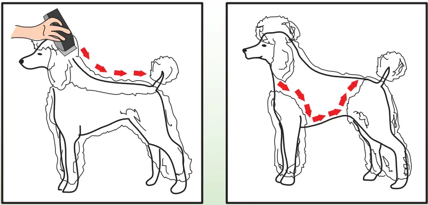 Ceenwes-Rechargeable-Cordless-Pet-Clippers-Grooming-Kit-fig-8