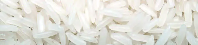 RICE TYPES-1