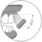 Y2088 - Brushing Method 1