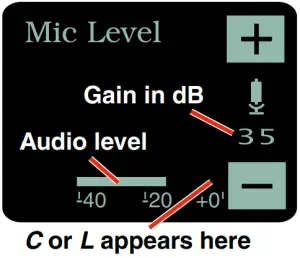 Mic Level