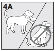 PetSafe PWF00-13665 Pawz Away Mini Pet Barrier - proper