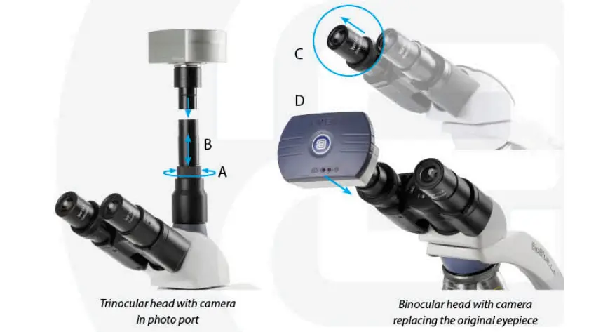 euromex BioBlue.Lab Microscope - cameras