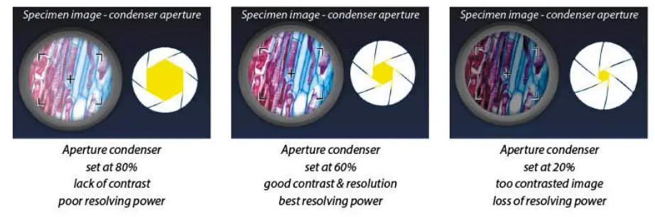 euromex BioBlue.Lab Microscope - diaphragm