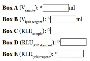 Promega-AM1001-Water-Glo-System-7