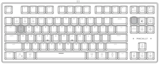MACALLY BM2KEY Tenkeyless Backlit Mechanical USB Keyboard - fig1