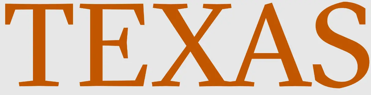 TEXAS-XCS4200-Chainsaw-log