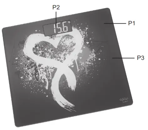 Gallet GALPEP 950 Glass Personal Scale - Description of the controls
