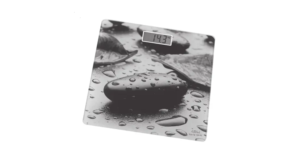 Gallet Galpep 950 Glass Personal Scale Instruction Manual Gallet Galpep 950 Glass Personal Scale Instruction Manual