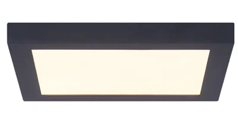 Paul-Neuhaus-828351-LED-Ceiling-Light