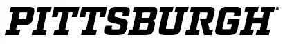 PITTSBURGH LOGO