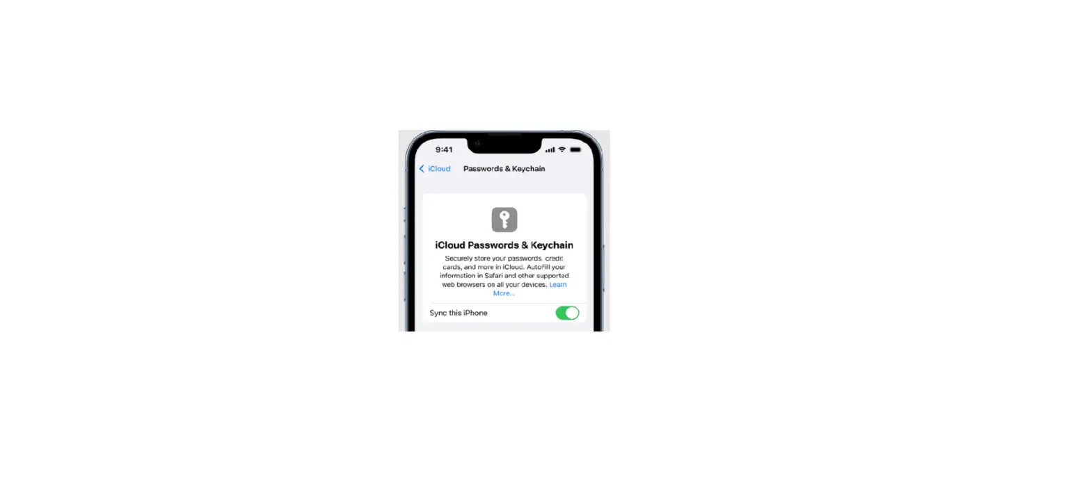 Make Your Passwords Available On All Your Devices With Ipod Touch And Icloud Keychain Make Your Passwords Available On All Your Devices With Ipod Touch And Icloud Keychain