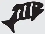 Fish Icon