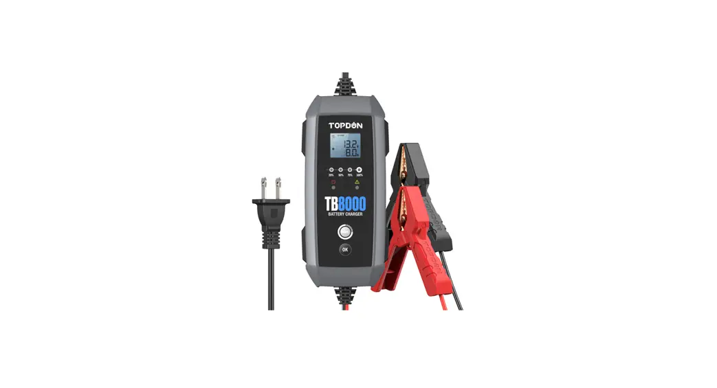 Topdon Tb8000 6v And 12v Battery Charger User Manual