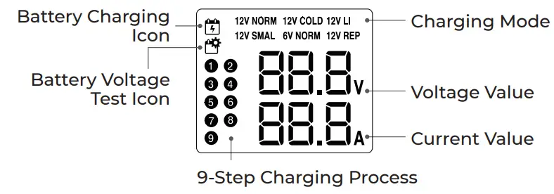 TOPDON TB8000 6V and 12V Battery Charger-fig3