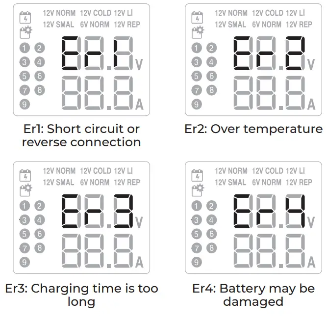 TOPDON TB8000 6V and 12V Battery Charger-fig5