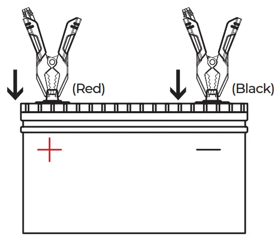 TOPDON TB8000 6V and 12V Battery Charger-fig6