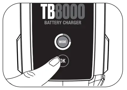TOPDON TB8000 6V and 12V Battery Charger-fig9