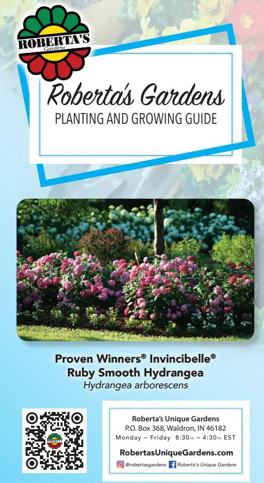Roberta s Garden M89810 1-PC Proven Winners Invincibelle Ruby Smooth User Guide