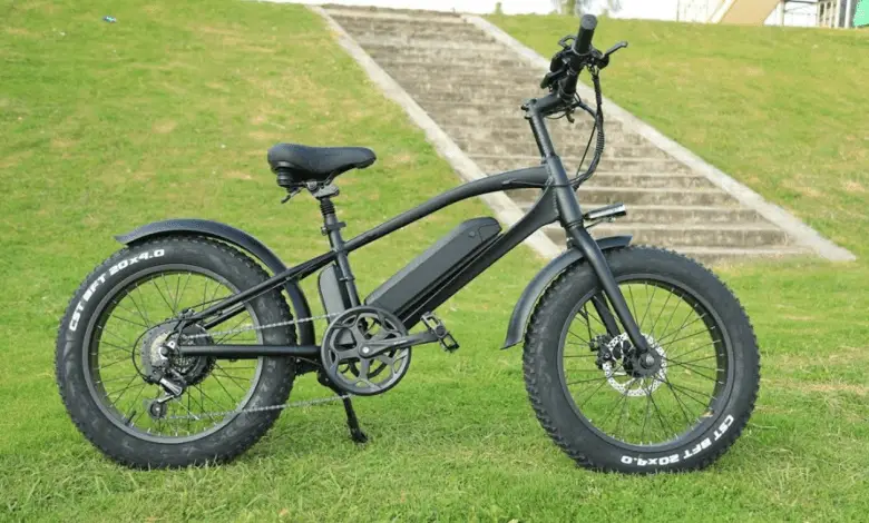 Cmacewheel Electric Bike Instructions Cmacewheel Electric Bike Instructions