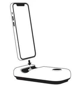 APPCESSORI ACRRP001 Rayz Rally Pro - fig 1