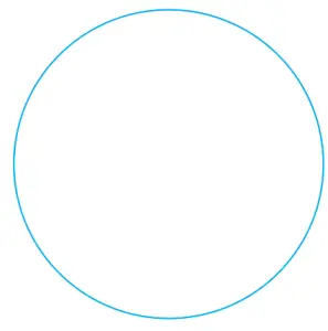 APPCESSORI ACRRP001 Rayz Rally Pro - fig