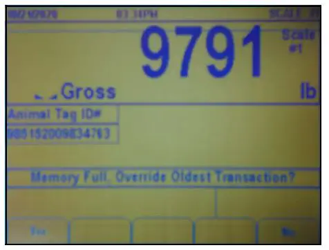 RICE-LAKE-920i-Rate-of-Gain-Program-Single-Animal-Software-Application-2