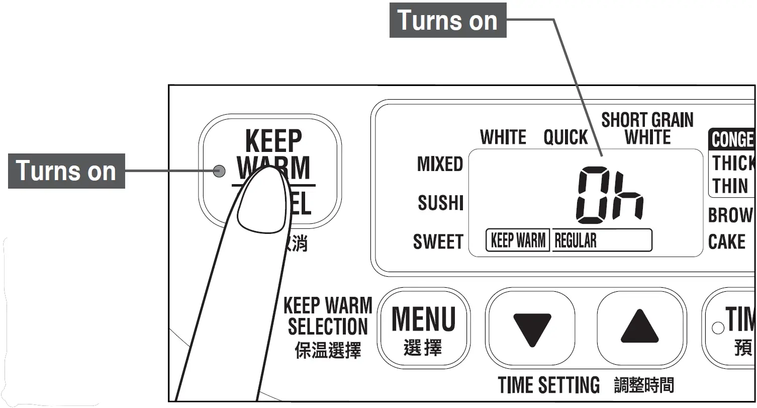 HOW TO KEEP RICE WARM AGAIN