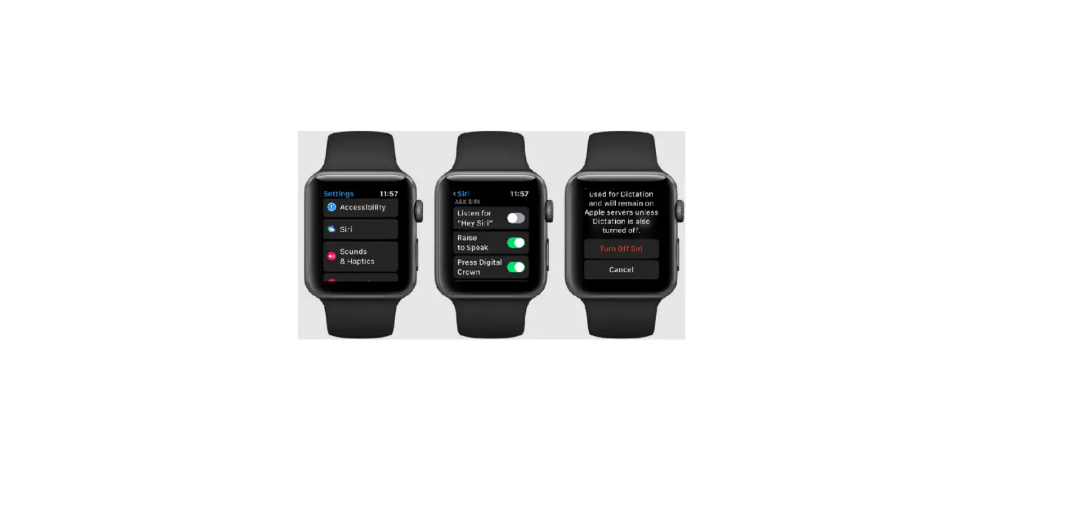 Use Voiceover On Apple Watch