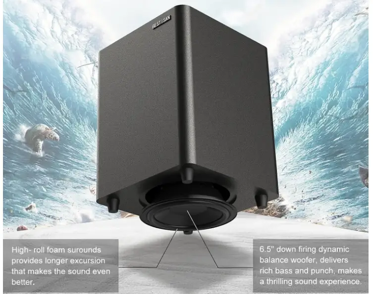 BESTISAN-SW65C-Home-Theater-Deep-Bass-Subwoofer-fig-2