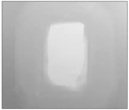 SONANCE INVISIBLE Series IS6T Speaker - This can take