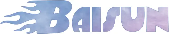 BAISUN logo m1