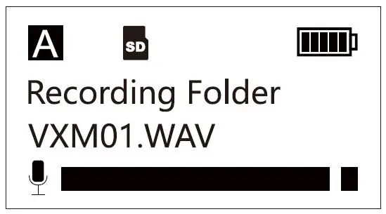 CKMOVA Vocal M UHF Dual-Channel Wireless Microphone System with Independent Audio Recorder-18