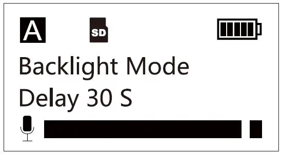 CKMOVA Vocal M UHF Dual-Channel Wireless Microphone System with Independent Audio Recorder-19