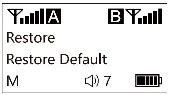 CKMOVA Vocal M UHF Dual-Channel Wireless Microphone System with Independent Audio Recorder-30