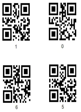 EGYPTLAPTOP-NO-S2DDB50GV1-2D-Barcode-Scanner-15