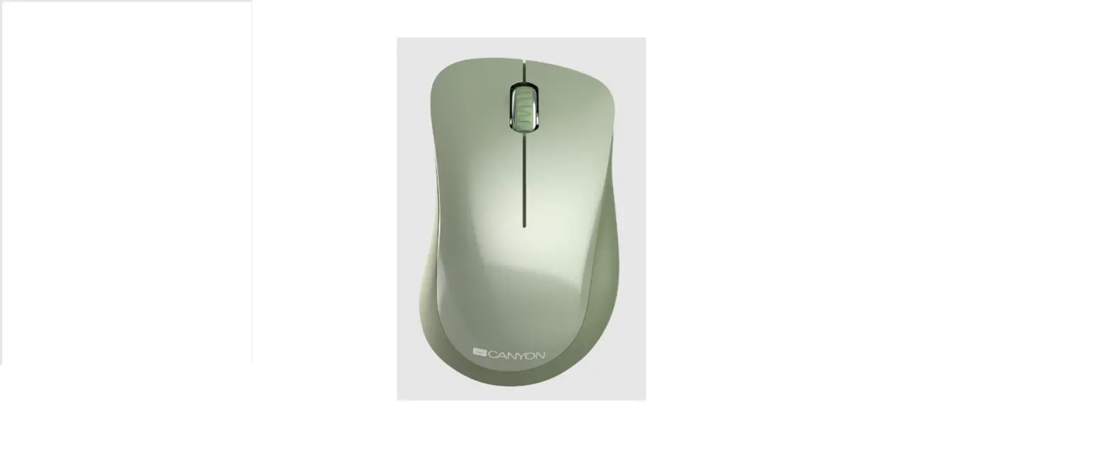 Canyon Mw-11 Wireless Mouse Instruction Manual