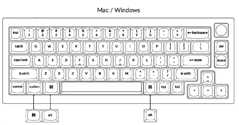Mac / Windows