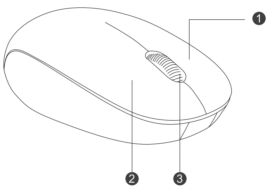 Product Detail Introduction