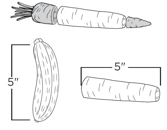 NINJA NF700 Professional XL Food Processor 12