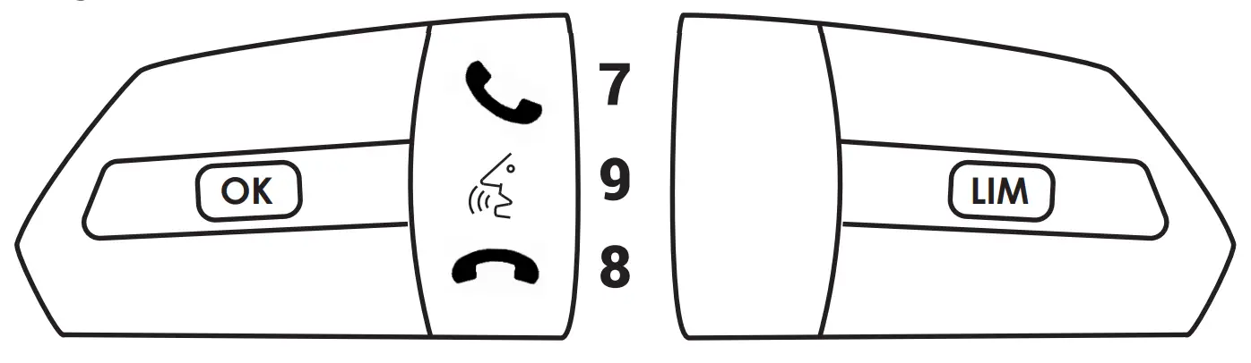 Steering Wheel Control Functionality